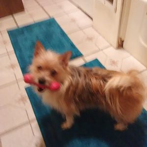 Meet your Posher, Clàra